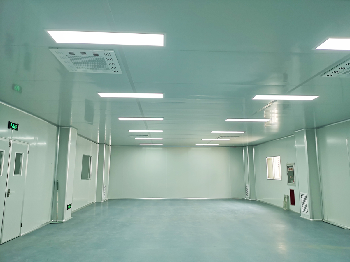 安徽新泰藥業(yè)醫(yī)用口罩無塵車間工程
